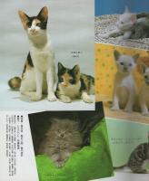 フォト絵本45　いぬとねこがいっぱい