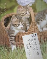 フォト絵本11　かわいいどうぶつ