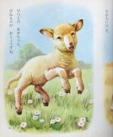 小学館の育児絵本33　どうぶつのあかちゃん　表紙画・岩崎良信