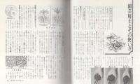草花・果樹・野菜の家庭園芸　-文研リビングガイド-