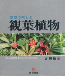 家庭で楽しむ観葉植物　-文研リビングガイド-