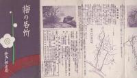 梅の名所（奈良県・京都府・和歌山県）