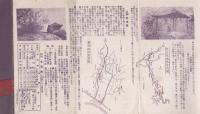 梅の名所（奈良県・京都府・和歌山県）