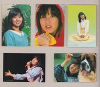 石野真子ブロマイド　14枚
