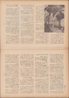 第一線　182号　-昭和48年7月-