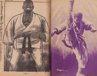虹をよぶ拳　-冒険王昭和45年5月号付録-