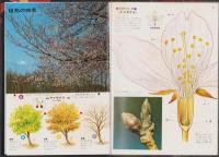 植物の図鑑　-小学館の新学習図鑑シリーズ1-