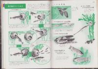 魚貝の図鑑　-小学館の新学習図鑑シリーズ3-