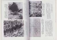 （写真集）あの日あの時　-思い出のアルバム-（中部地方）