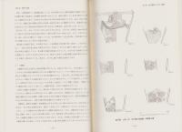 虫内Ⅲ遺跡　-東北横断自動車道秋田線発掘調査報告書17-（秋田県）