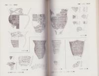 埼玉考古　別冊3　-シンポジウム 大木、有尾、そして黒浜　繩文前期中葉土器群にみる系統と交流の実態-（埼玉県）