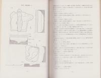 下河端遺跡　-北陸自動車道関係遺跡調査報告書　第5集-（福井県）