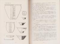 北陸自動車道関係遺跡調査報告書　第10集（福井県）　
