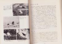 福井県自然環境保全基礎調査報告書　-昭和51年3月-