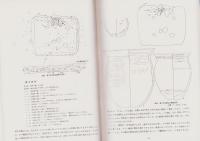 大原第一遺跡　-緊急発掘調査報告書-（長野県）