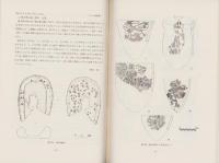 真行寺　-真行寺遺跡緊急発掘調査報告書-（長野県）