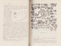 崩越　-崩越遺跡発掘調査報告書-　王滝村の文化財No.2（長野県）