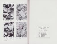 郷蔵地遺跡　-山梨県埋蔵文化財センター調査報告31-