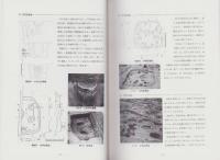 垣内遺跡発掘調査報告書　-高山市埋蔵文化財調査報告書19-（岐阜県）