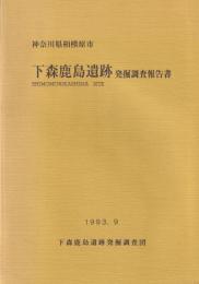 神奈川県相模原市　下森鹿島遺跡　発掘調査報告書　-先土器時代編-