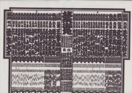 （大相撲番付表）昭和54年11月場所（九州場所）