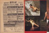 週刊小説　昭和56年8月20日増刊号　灼熱のラブロマン特集　表紙画・横塚繋