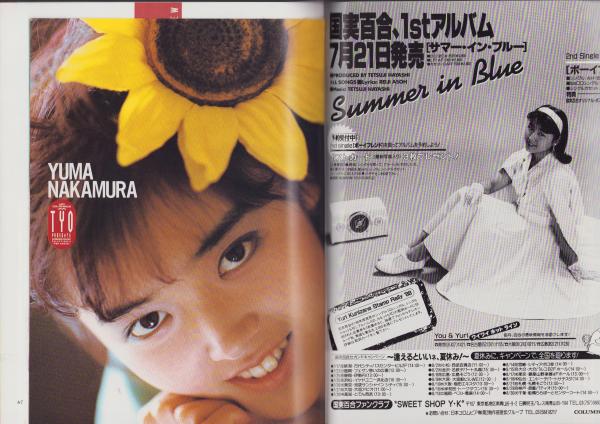 Amazon.co.jp: う-086『雑誌グラビア ラミネート加工』『南野