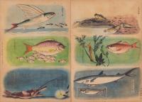 ひかりのくに　昭和24年7月号