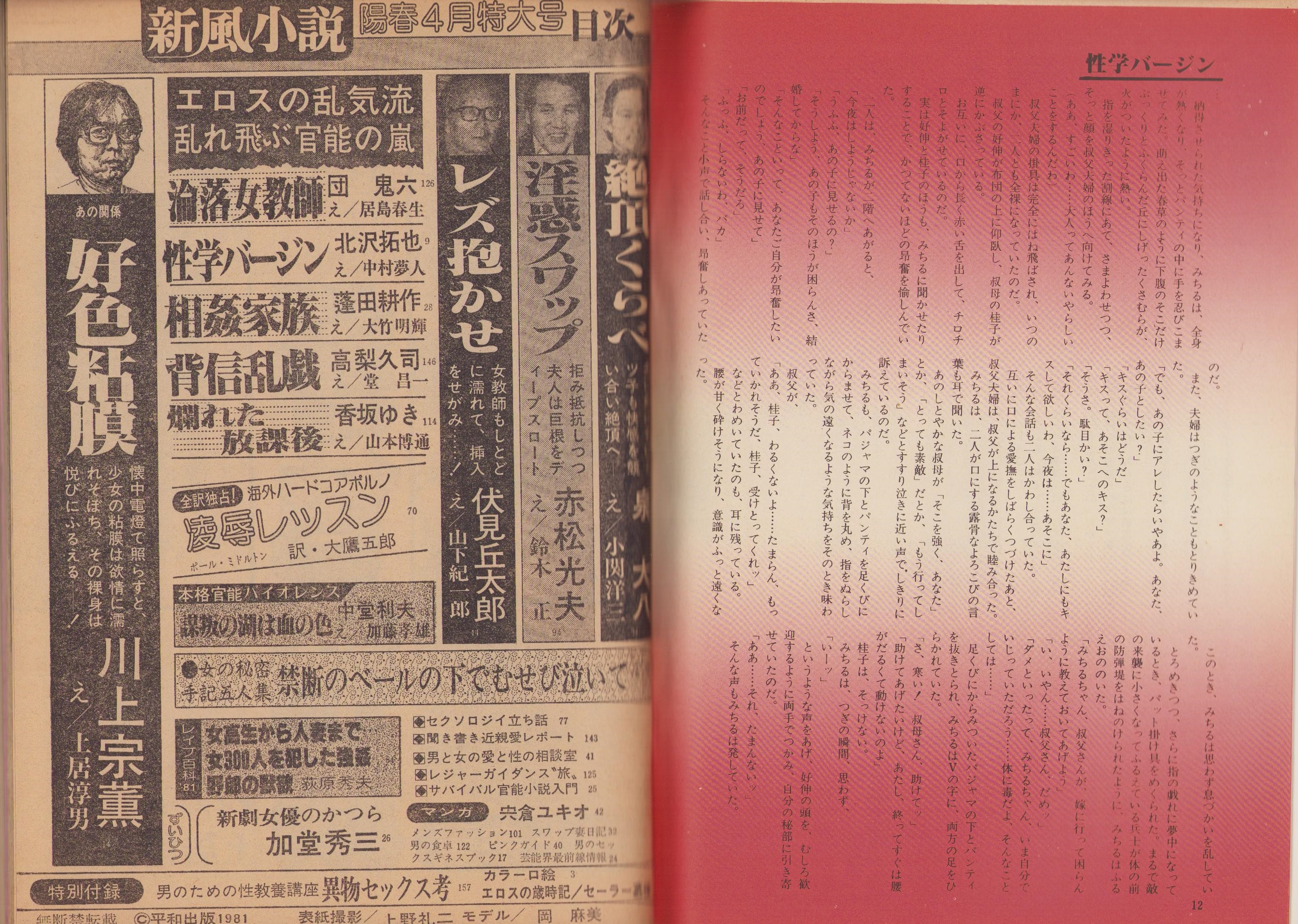 新風小説 昭和56年4月号 表紙モデル・岡麻美(〈居島春生「カラー