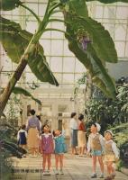 こども科学館　6号　-昭和35年11月-