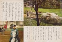 白馬奪回作戦　-講談社のディズニー絵本51-