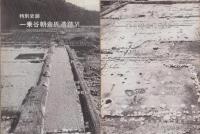 一乗谷朝倉氏遺跡　1号～17号内4冊欠　不揃13冊一括（福井県）