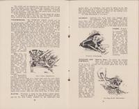 （英文）TRIUMPH Instruction Book（トライアンフ取扱説明書）