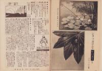 写真報国　105号　-昭和11年11月-