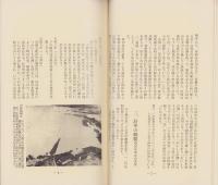 島の記　-飯田市時又島　旧飯田市川路一区-（長野県）