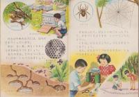 新訂小学生のりか　3年　全2冊