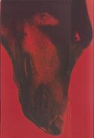 人間、大友康平。　-HOUND DOG PRESENTS-