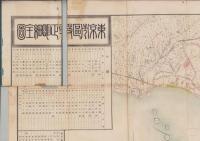 （地図）東京市区改正明細全図