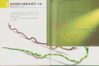 木でつくろう　-ポプラ社の工作シリーズ3-