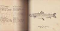 満洲重要淡水魚類図説（満洲国産業部水産科）
