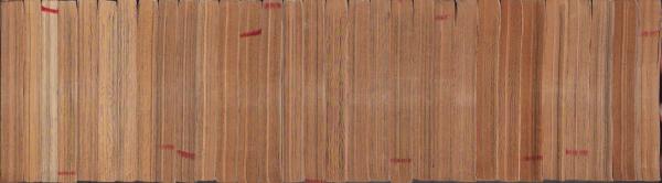 少年少女SFマンガ競作大全集 全30冊(佐々木淳子、古川タク、江口寿史