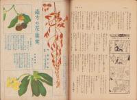 週刊朝日　昭和17年11月15日号　表紙画・白石隆一「冬に備へる」