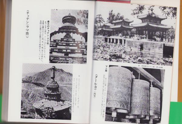 秘境西域八年の潜行 上下巻セット Amazon.co.jp: 秘境西域八年の潜行 上下別巻 全3冊セット 西川一