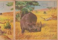 観察絵本キンダーブック　-れおちゃんのぼうけん-　昭和30年10月号