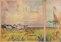 観察絵本キンダーブック　-れおちゃんのぼうけん-　昭和30年10月号
