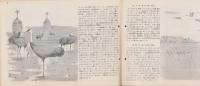 科学クラブ　第2号　-特集・渡り鳥-　昭和31年2月
