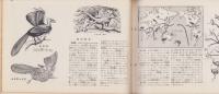 科学クラブ　第2号　-特集・渡り鳥-　昭和31年2月