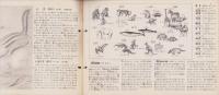 科学クラブ　第3号　-特集・動物の生活-　昭和31年12月