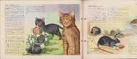 科学クラブ　第3号　-特集・動物の生活-　昭和31年12月