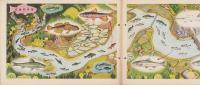 科学クラブ　第5号　-特集・魚のくらし-　昭和31年11月